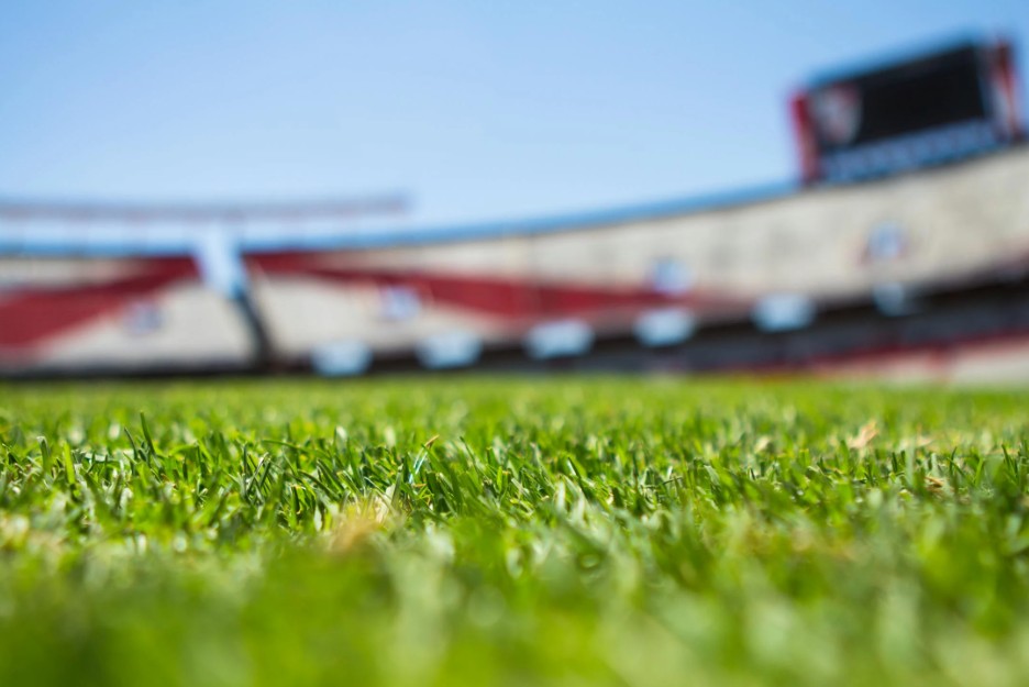 stadium